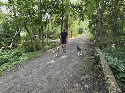 Run photo by Frank