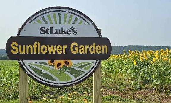 St. Luke's Anderson Campus - Sunflower Garden (Walking/Running Trail)