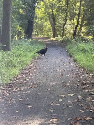 Run photo by Frank