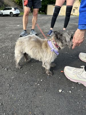 Run photo by Frank